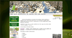 Desktop Screenshot of dzerves.lv